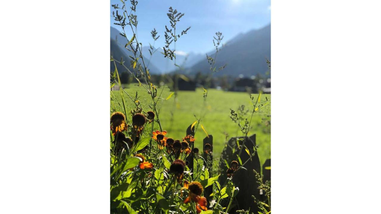 Gaestehaus Haus Barbara Neustift im Stubaital Kültér fotó